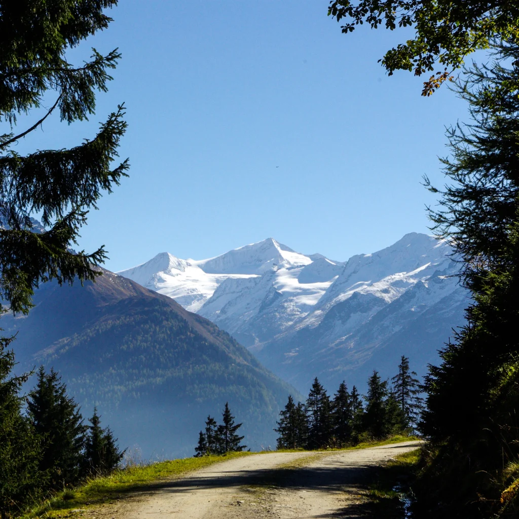 a beautiful scenery in the background with a path leading up the mountain toward the blue sky