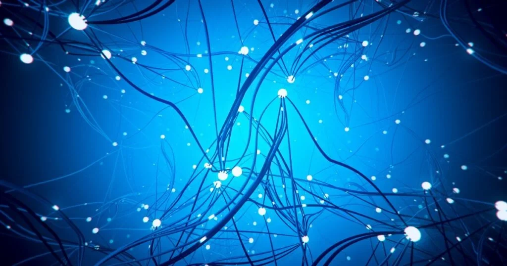 Brain neurons symbolizing relation to adaptive information processing.