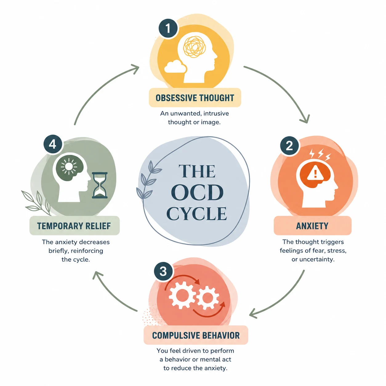 The OCD cycle.
